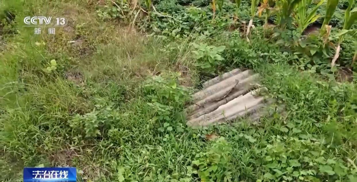 男子看小说学盗墓挖走20余件国宝