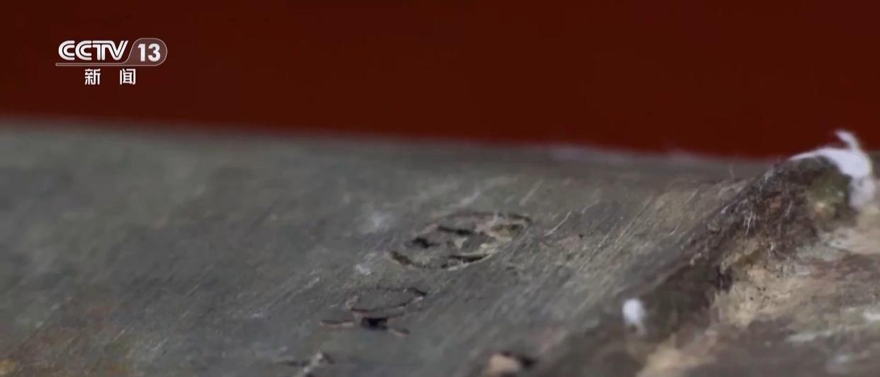 男子看小说学盗墓挖走20余件国宝