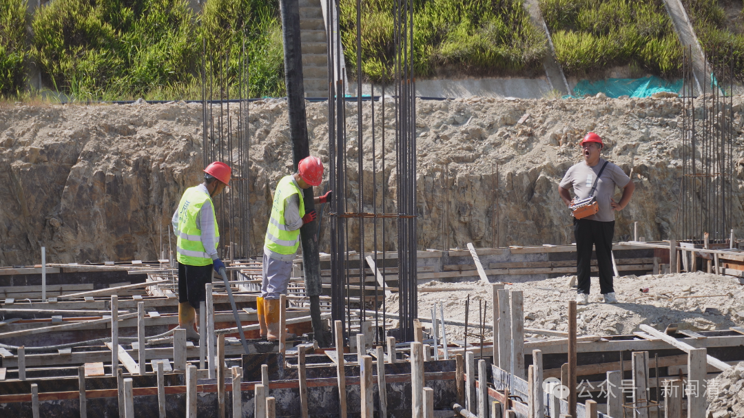 加速建设！福州茉莉花茶闽清产业园向投产冲刺