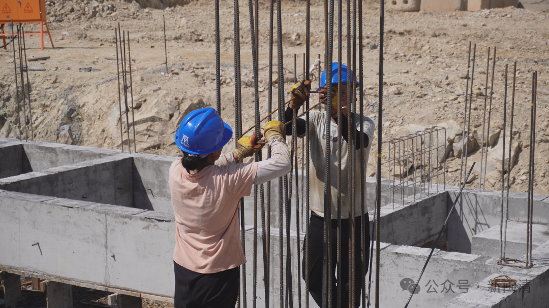 加速建设！福州茉莉花茶闽清产业园向投产冲刺