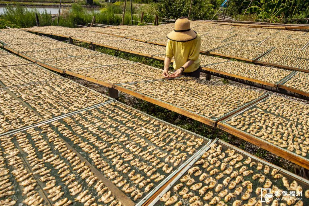 鲜！嫩！甜！这才是真海味！