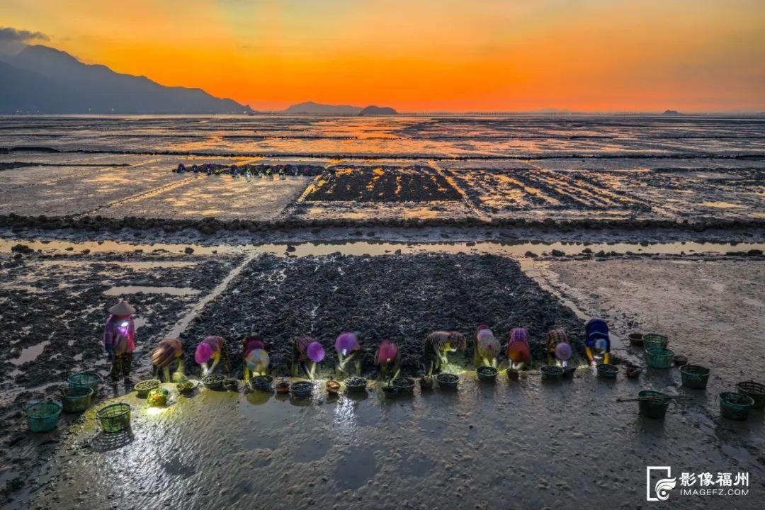 鲜！嫩！甜！这才是真海味！