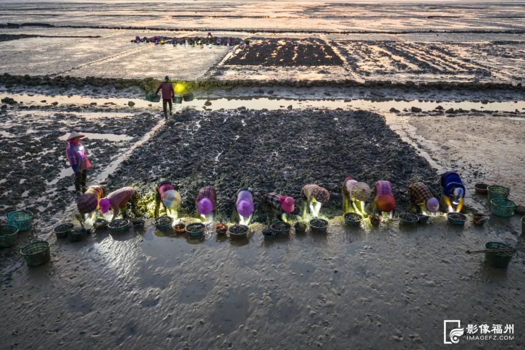 鲜！嫩！甜！这才是真海味！