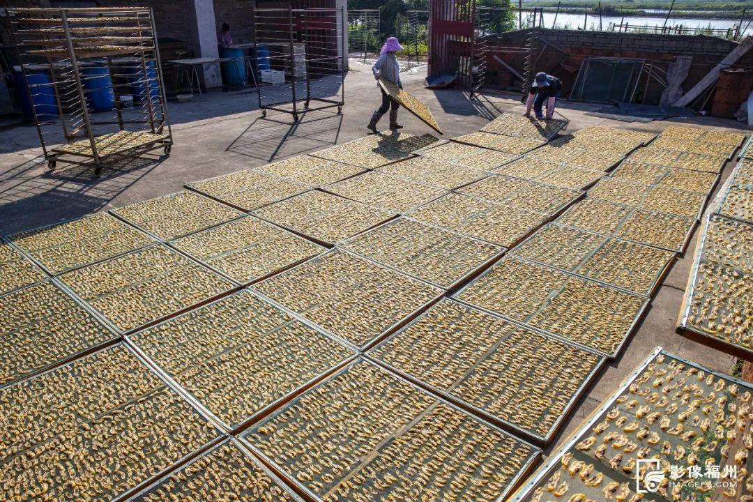 鲜！嫩！甜！这才是真海味！