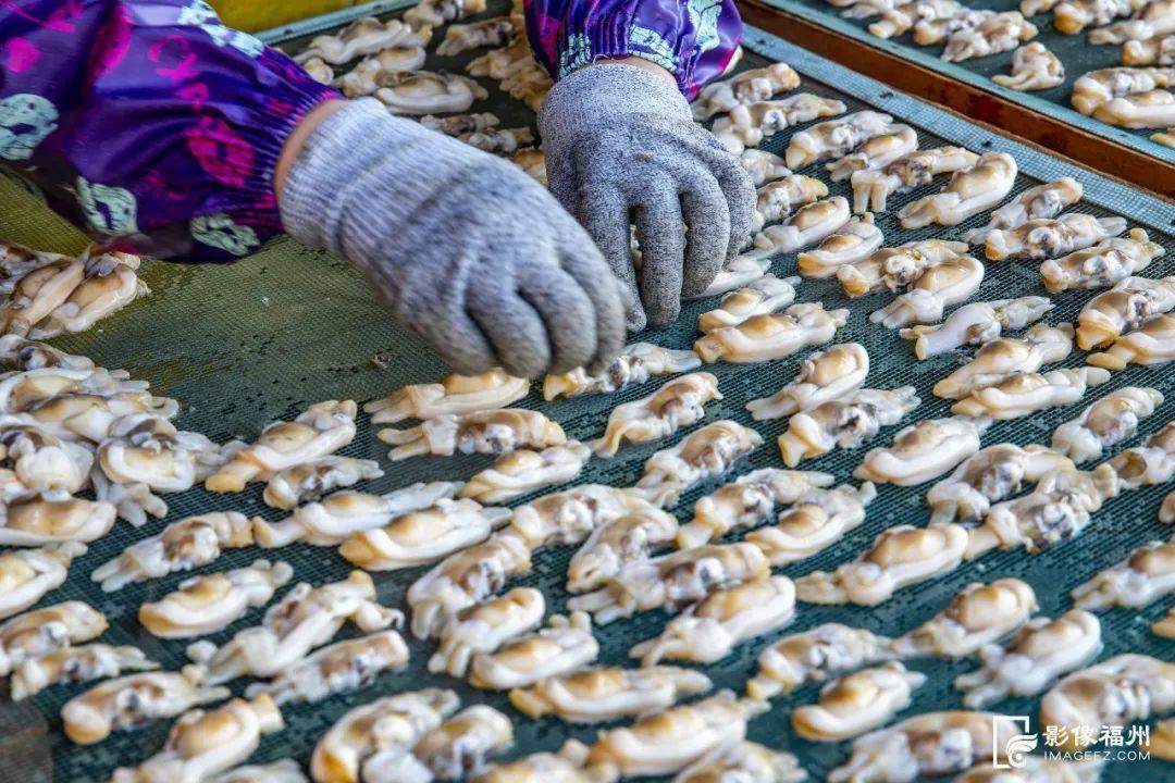 鲜！嫩！甜！这才是真海味！