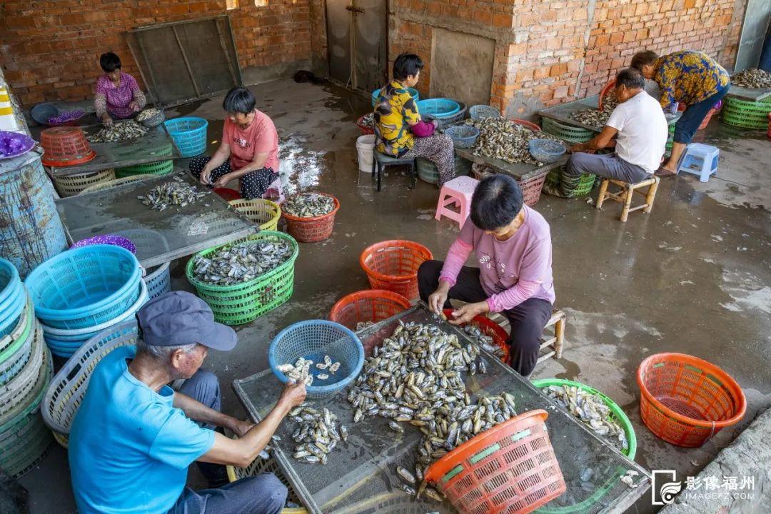 鲜！嫩！甜！这才是真海味！