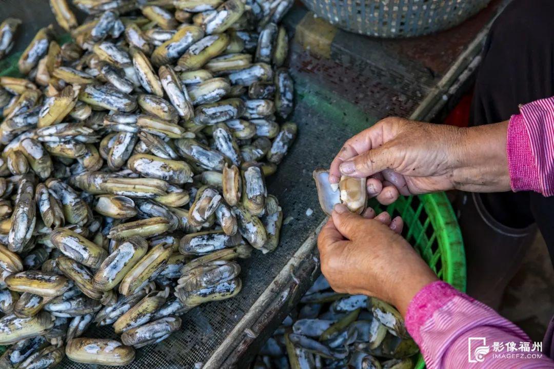 鲜！嫩！甜！这才是真海味！