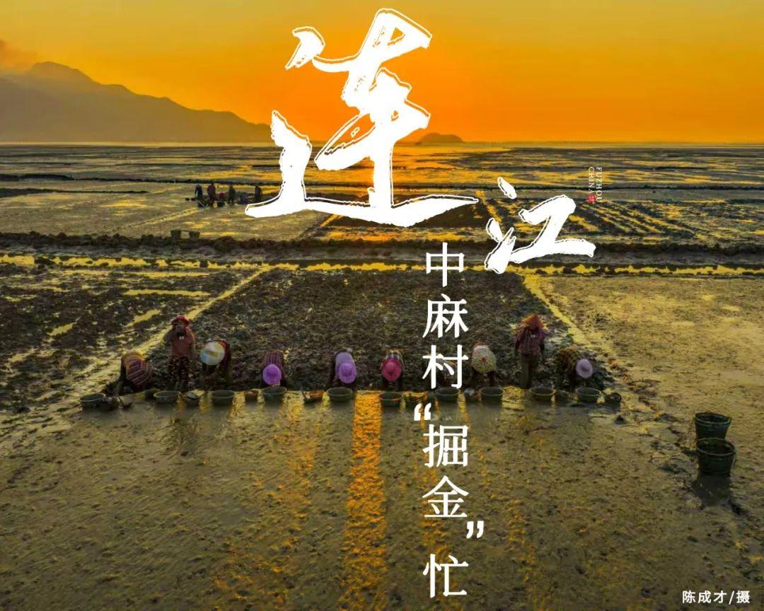 鲜！嫩！甜！这才是真海味！