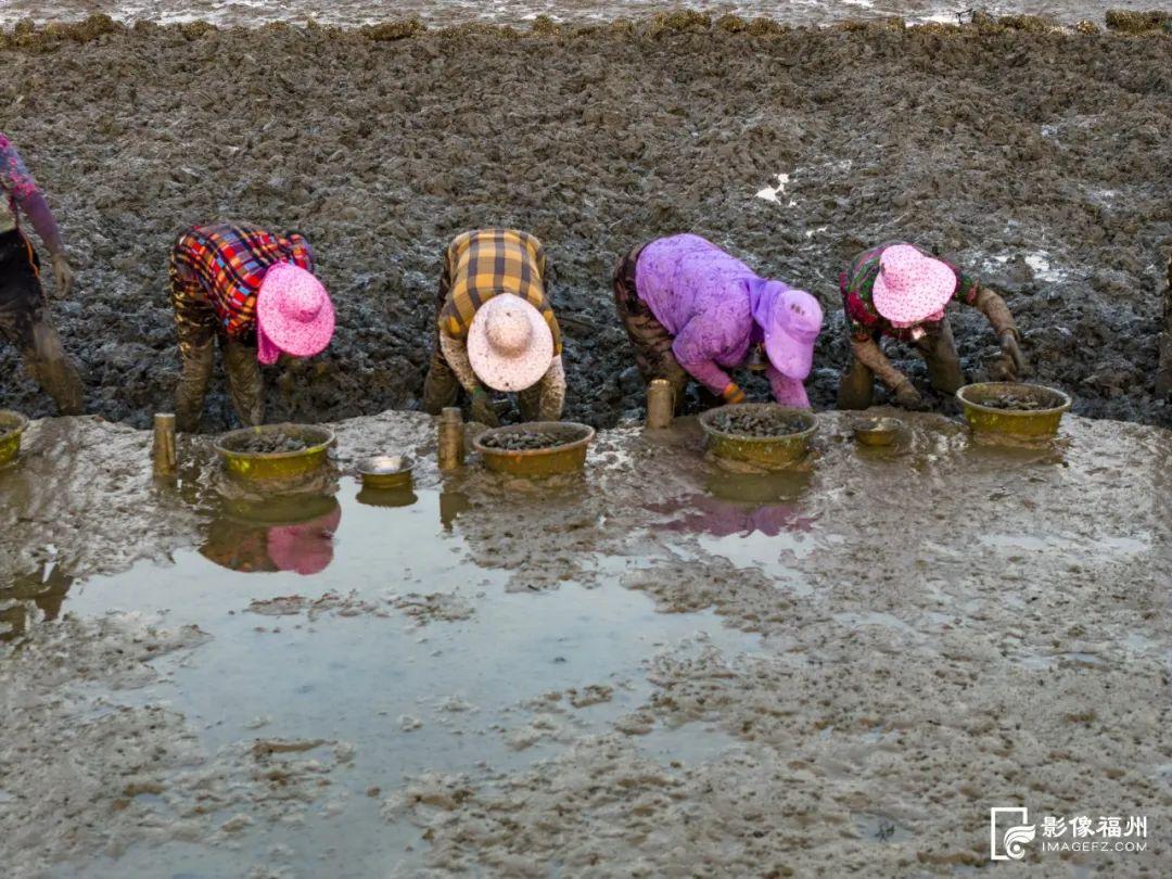 鲜！嫩！甜！这才是真海味！