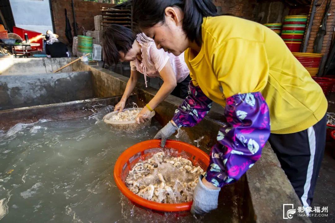 鲜！嫩！甜！这才是真海味！