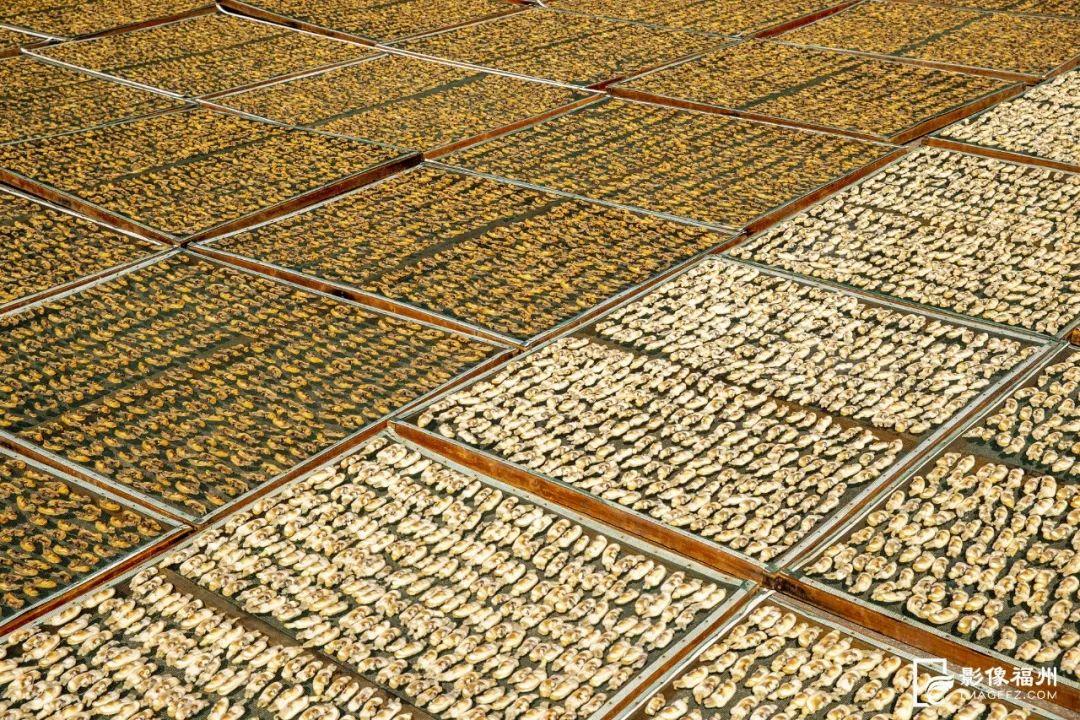 鲜！嫩！甜！这才是真海味！