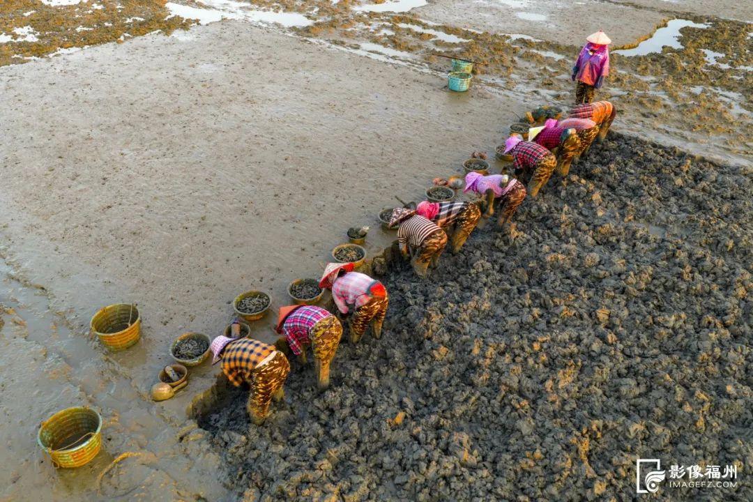 鲜！嫩！甜！这才是真海味！