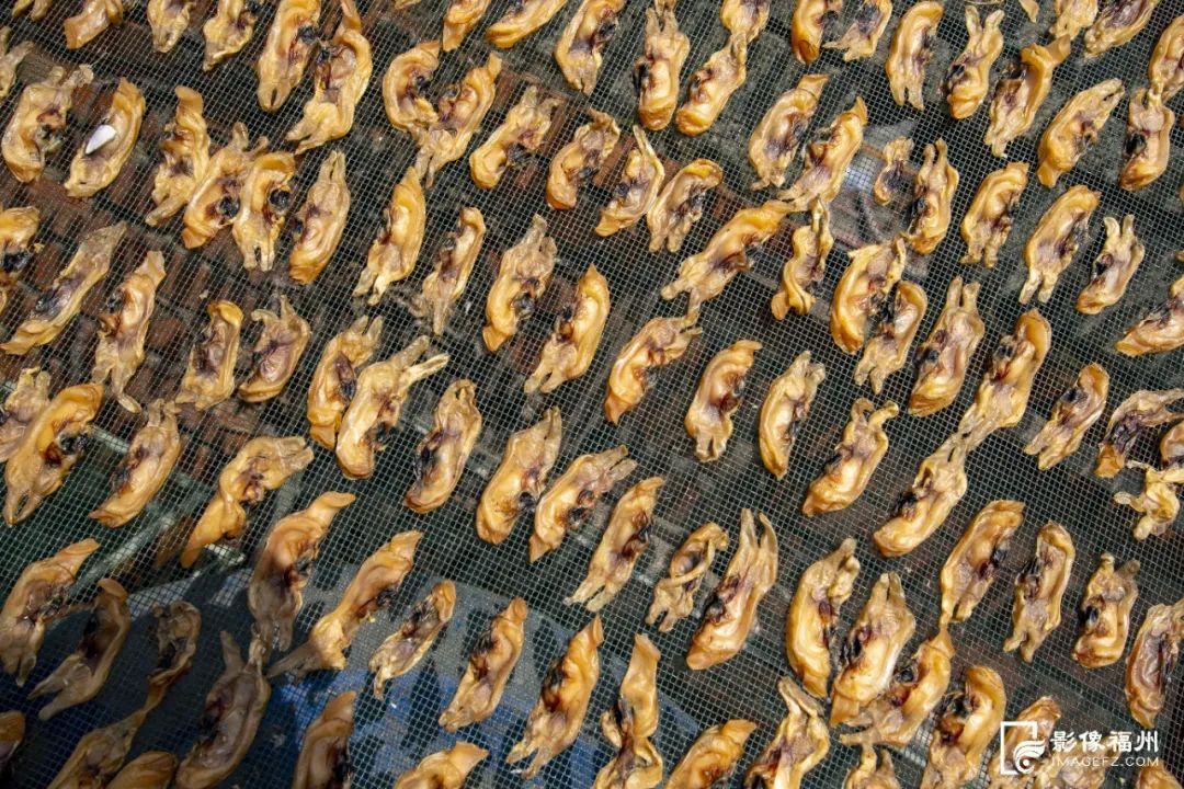 鲜！嫩！甜！这才是真海味！