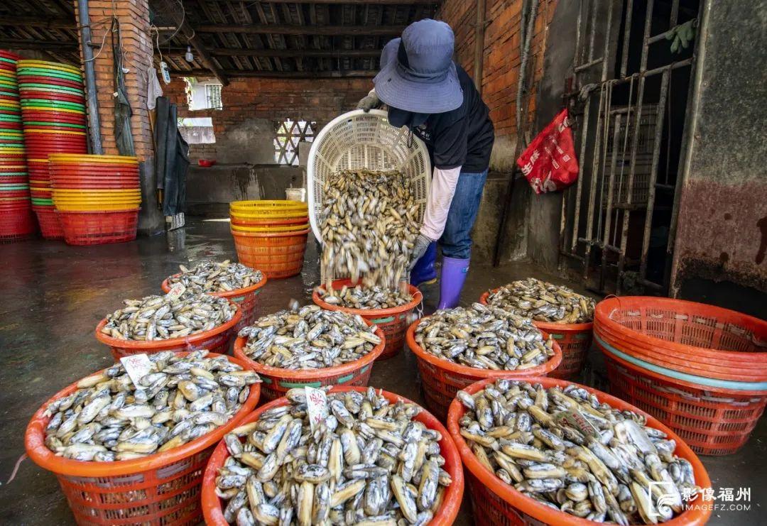 鲜！嫩！甜！这才是真海味！