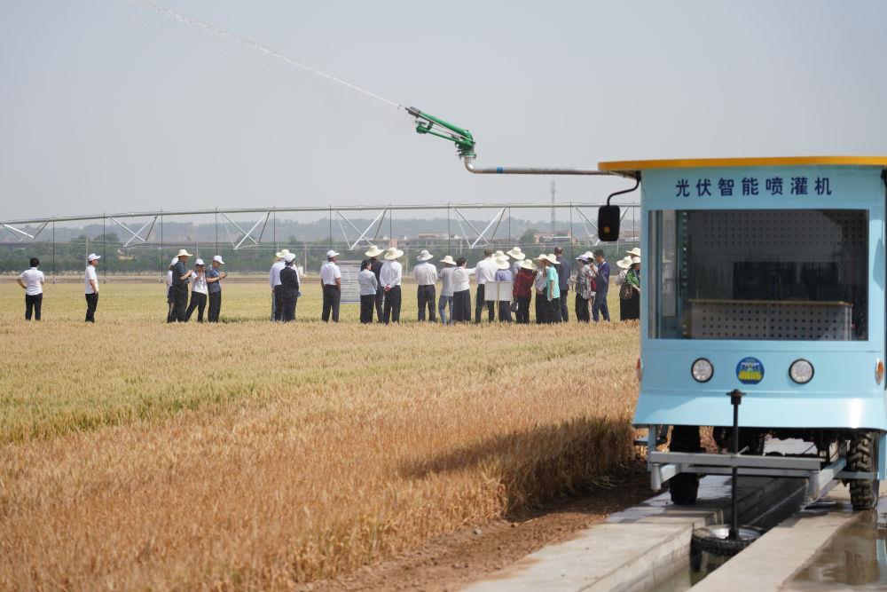 时政微观察丨从习主席引用的古语读懂“上合力量”
