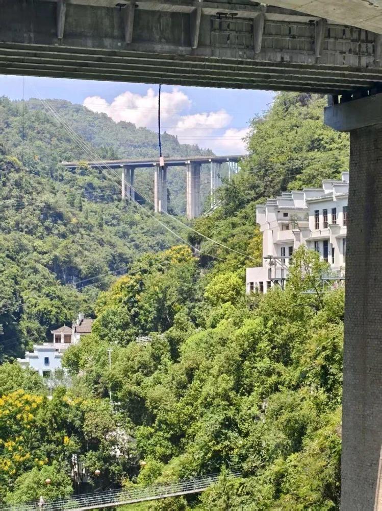 景区游客从40米高空坠落：水里有血迹