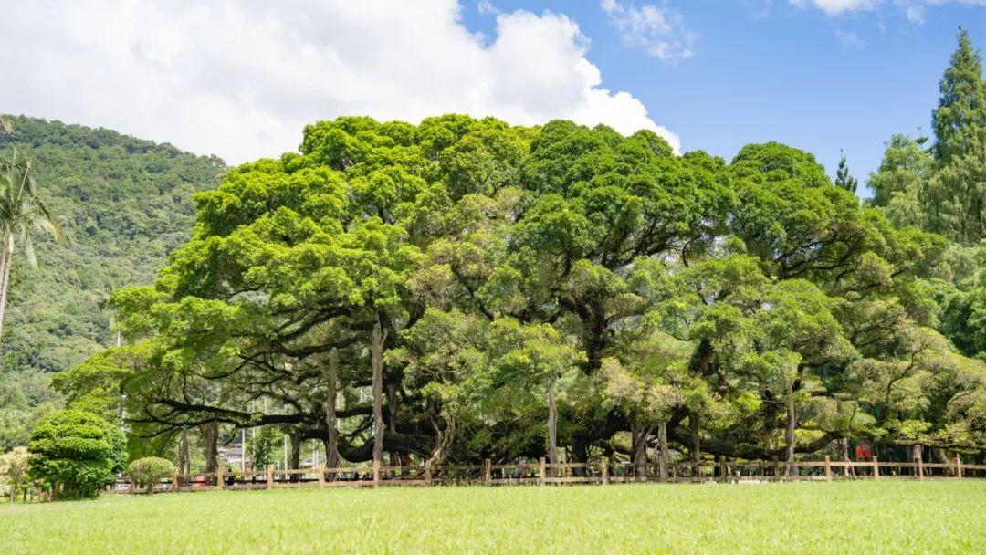 本周末开唱！先来一“齐”游福州