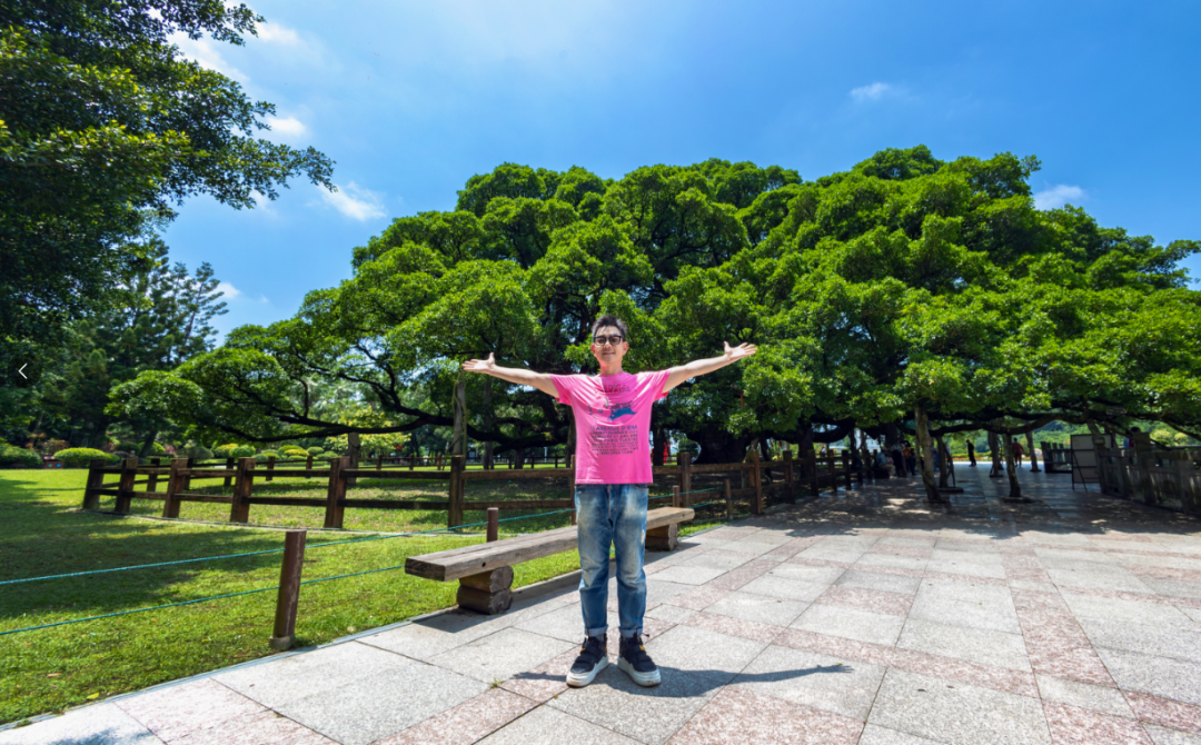 本周末开唱！先来一“齐”游福州