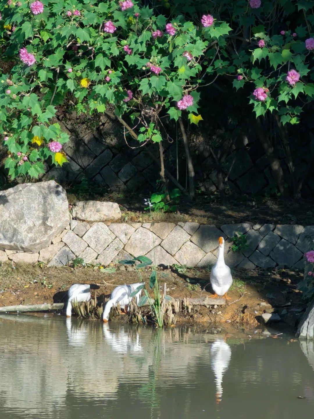 福州City Walk指南：文化控&吃货必藏！