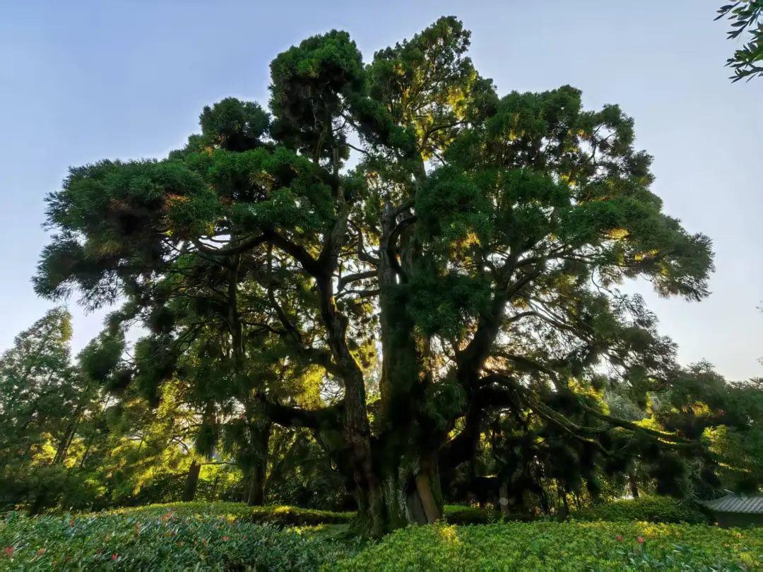 福州City Walk指南：文化控&吃货必藏！