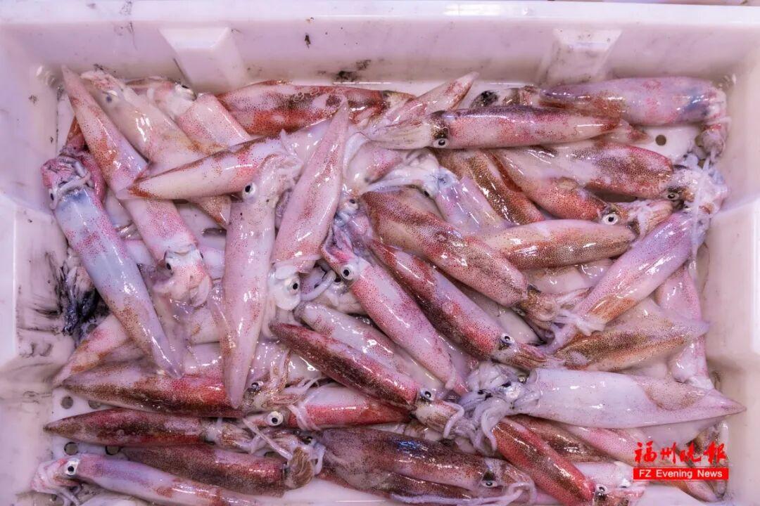 正大量上市！价格腰斩！福州人爱吃！