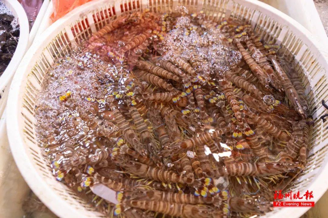 正大量上市！价格腰斩！福州人爱吃！