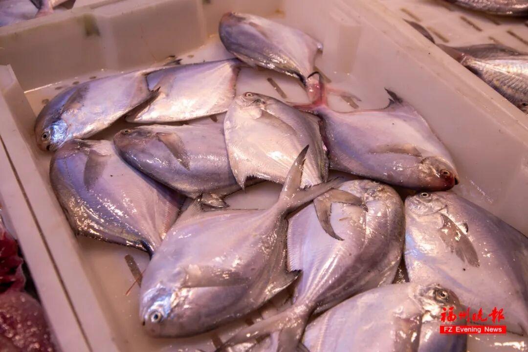 正大量上市！价格腰斩！福州人爱吃！