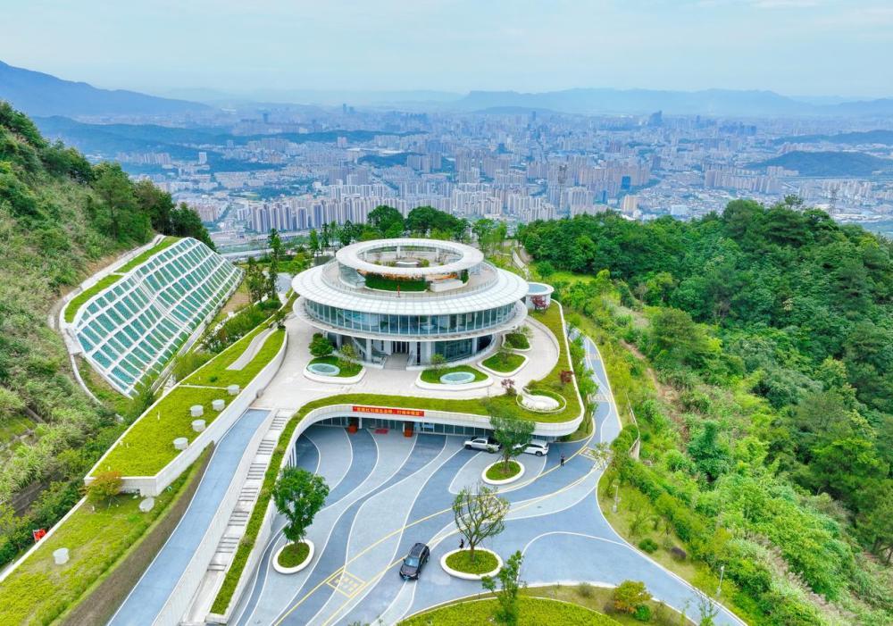 新华每日电讯：寻“福”记——一座江海古城的三十年现代化叙事