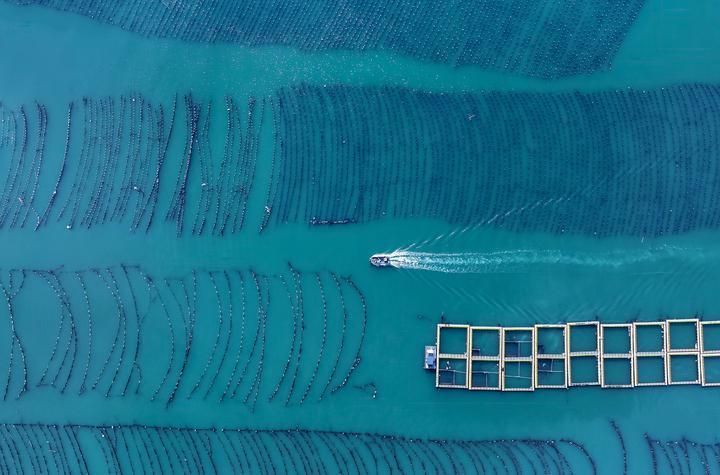 新华每日电讯：寻“福”记——一座江海古城的三十年现代化叙事