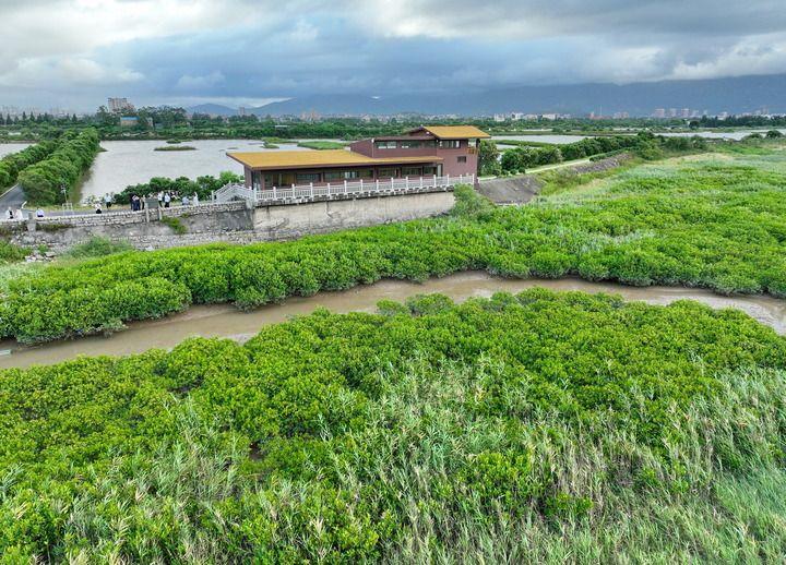 新华每日电讯：寻“福”记——一座江海古城的三十年现代化叙事