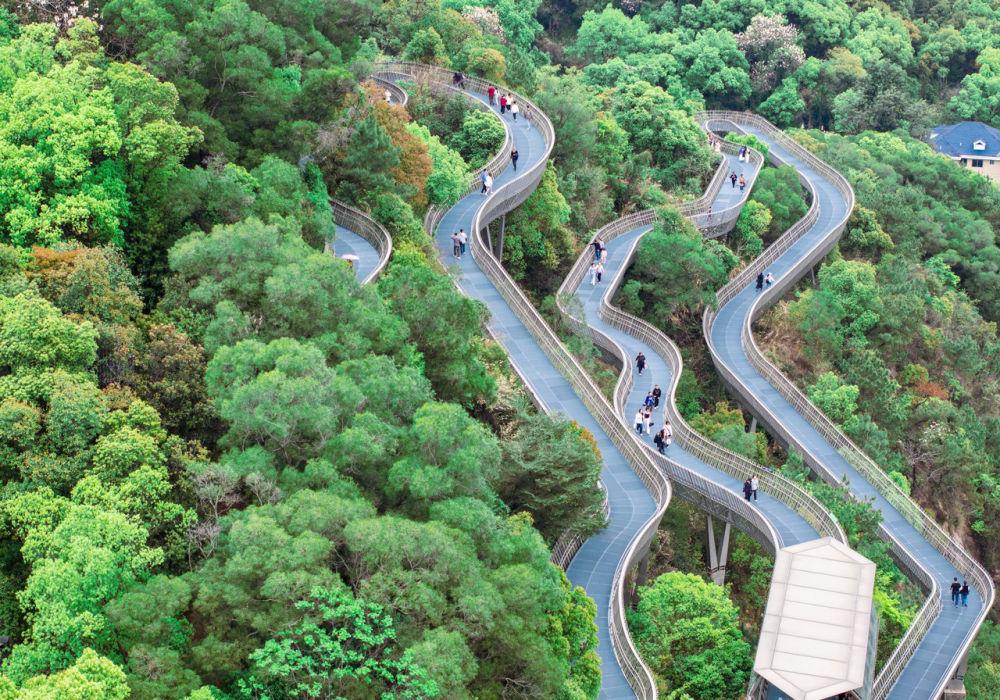 新华每日电讯：寻“福”记——一座江海古城的三十年现代化叙事