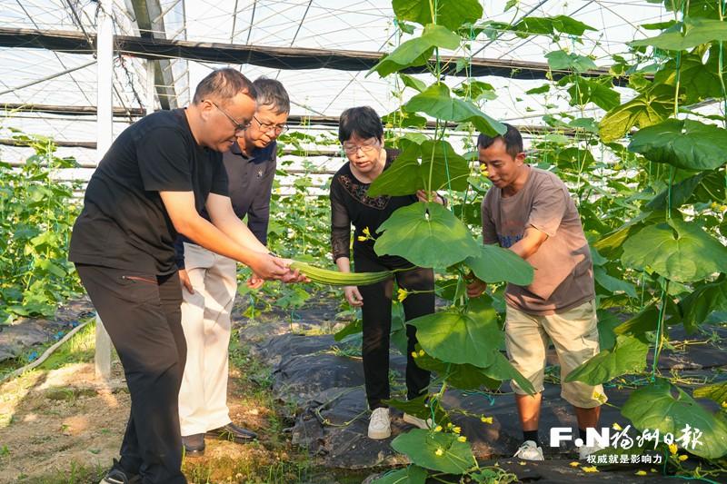 探索与实践｜“引育用留”人才 绘就福州乡村振兴新图景