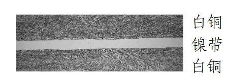 央行定于9月3日起陆续发行抗战胜利80周年纪念币