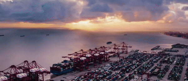 微视频｜伟大胜利