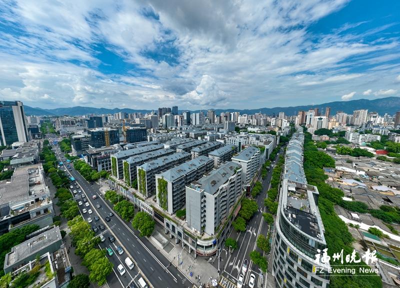 鼓楼：大局下谋划 大势中推进