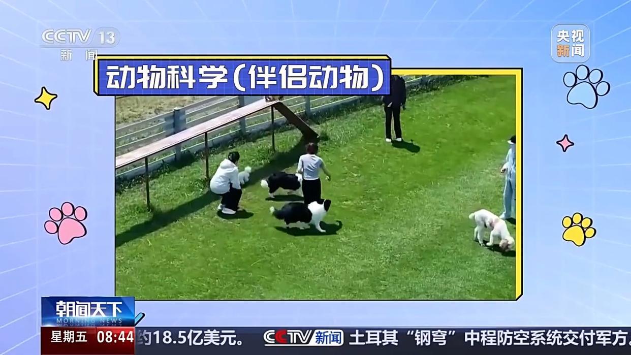 高校新增专业呈现什么新趋势？2万条数据中找答案