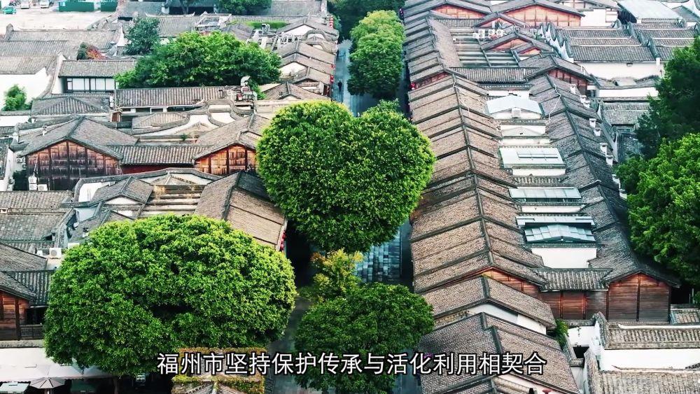 新华视点｜三十载蓝图绘就发展新篇 福州阔步迈向现代化国际城市