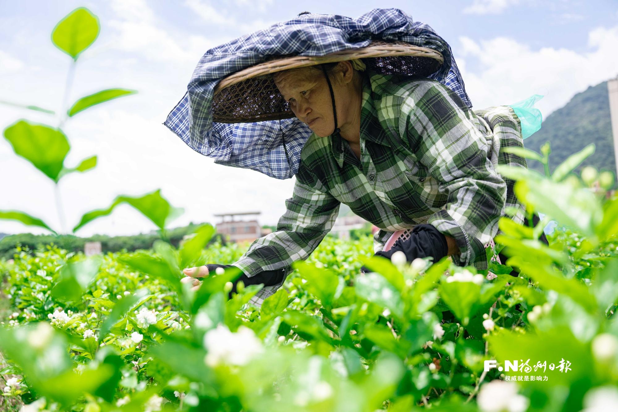 救命！福州怎么全是“神仙CP”