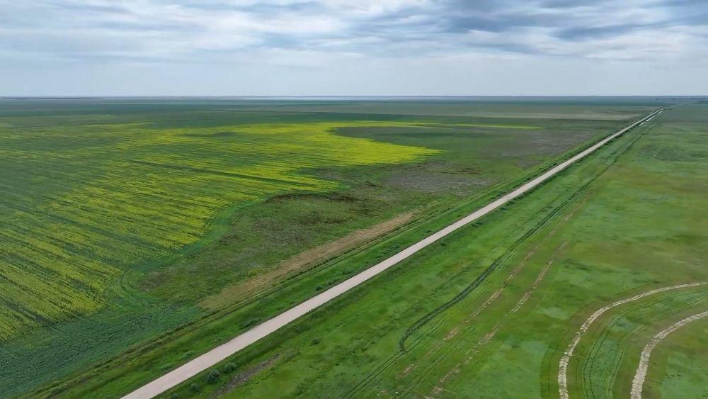 重磅纪录片｜建设共同家园