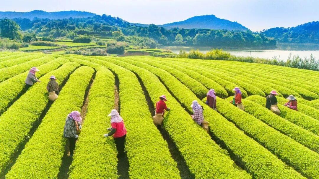 就在福州连江！杜海涛、孟鹤堂、张颜齐都来了！