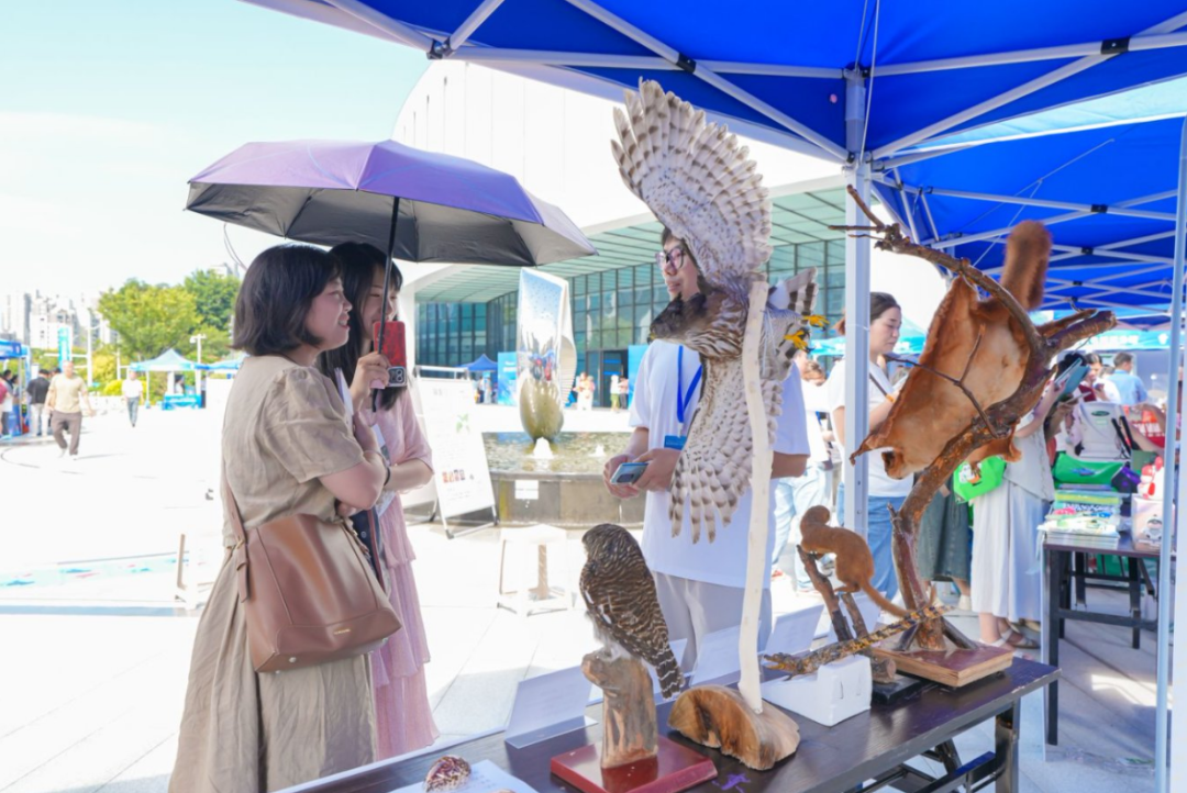 全国科普月 | 朱雀三号火箭总指挥变身“科普讲解员”！首个全国科普月福州市主场活动启幕