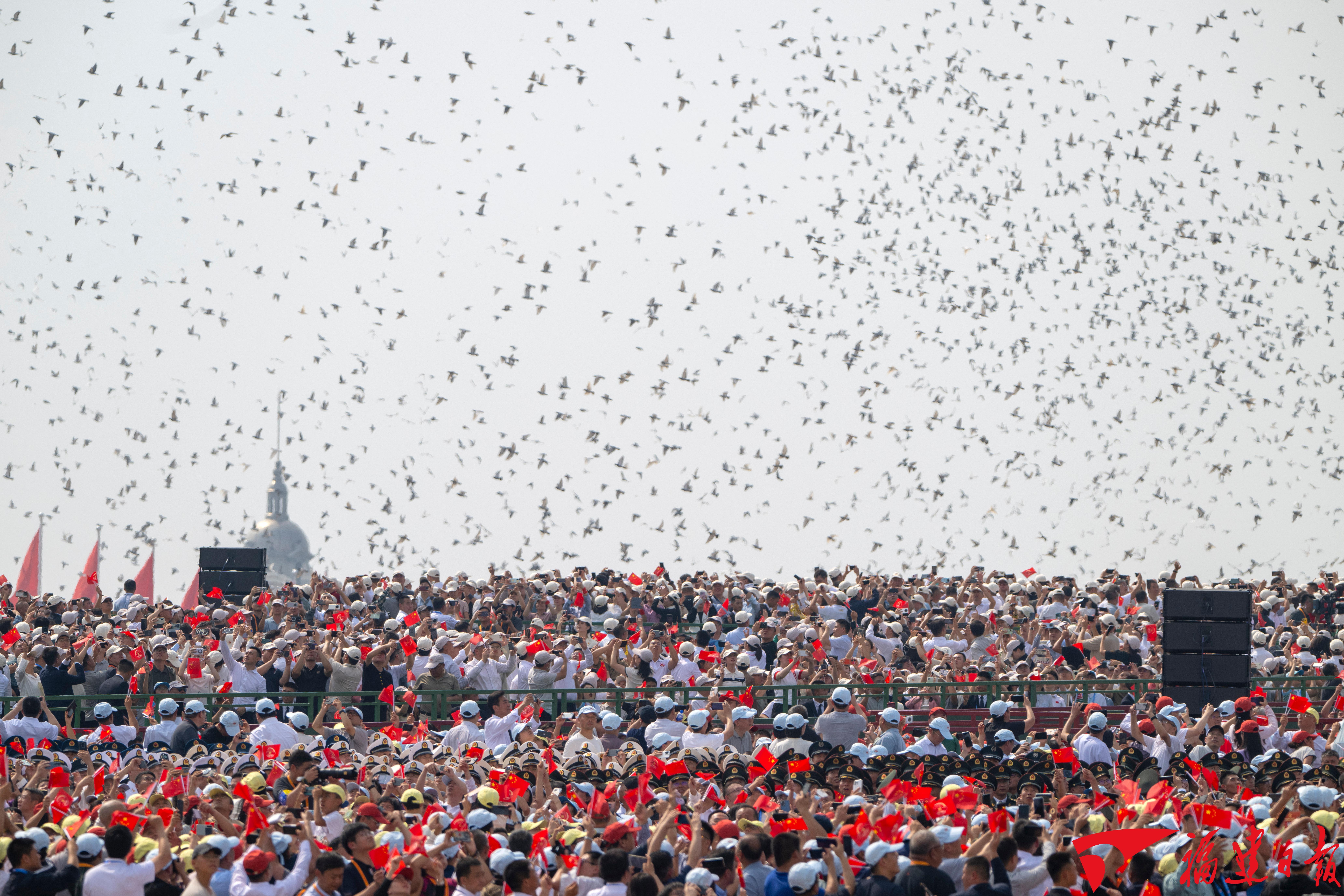 记者现场直击！在观礼台，来自福建的他们说……