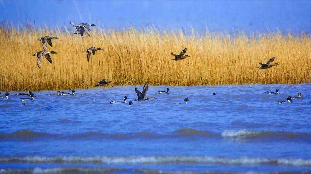 攻略已出！中秋国庆来福州
