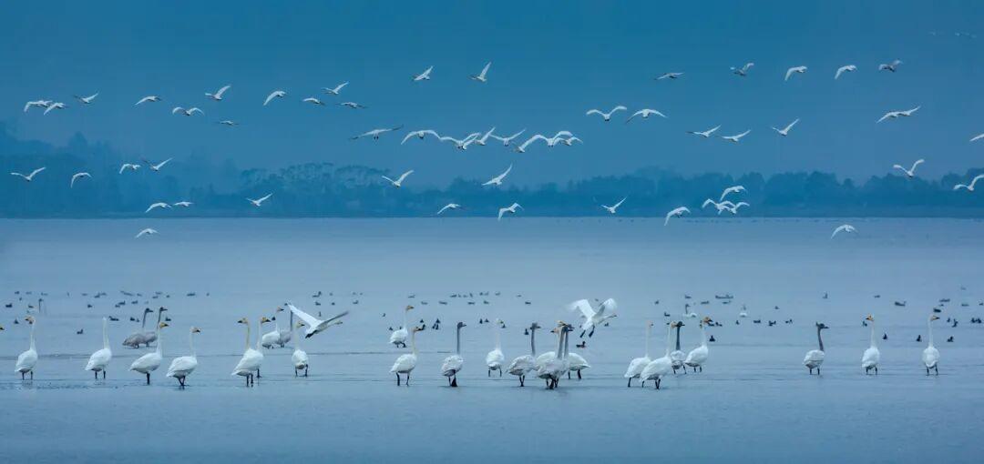 攻略已出！中秋国庆来福州