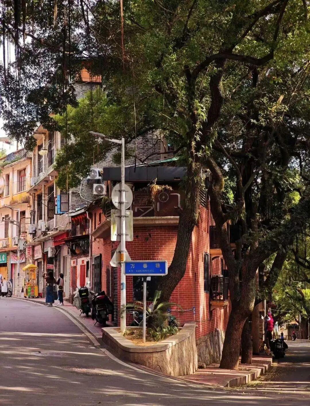 “适合相爱的时辰”来啦！福州又一演唱会官宣