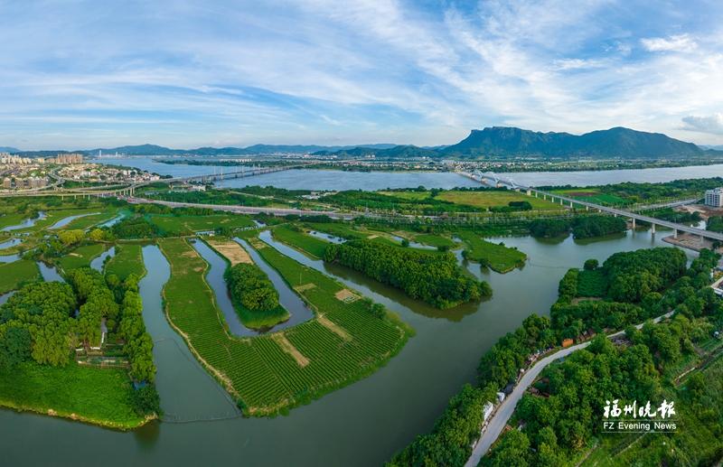 福州茉莉花茶文化节今日开幕