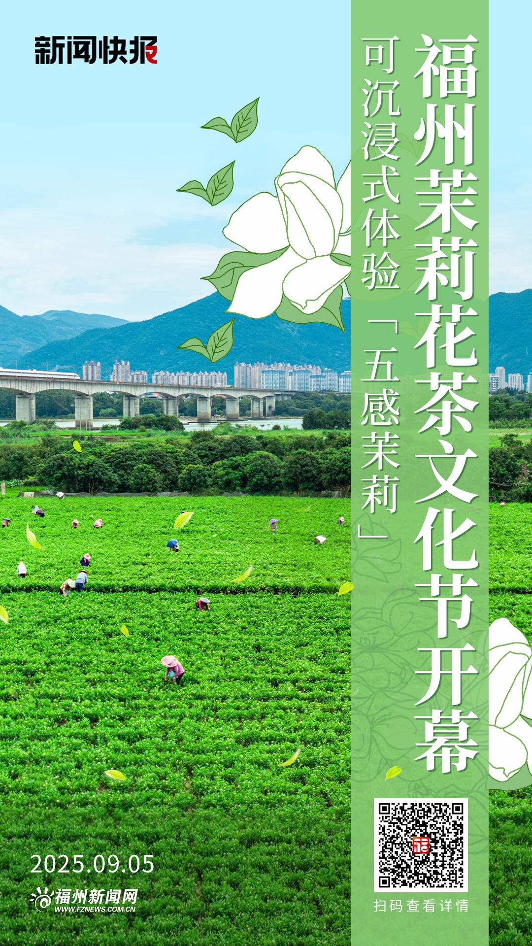 福州茉莉花茶文化节开幕 可沉浸式体验“五感茉莉”