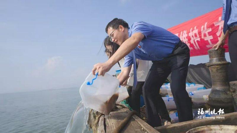 35万粒漳港海蚌幼苗放流大海
