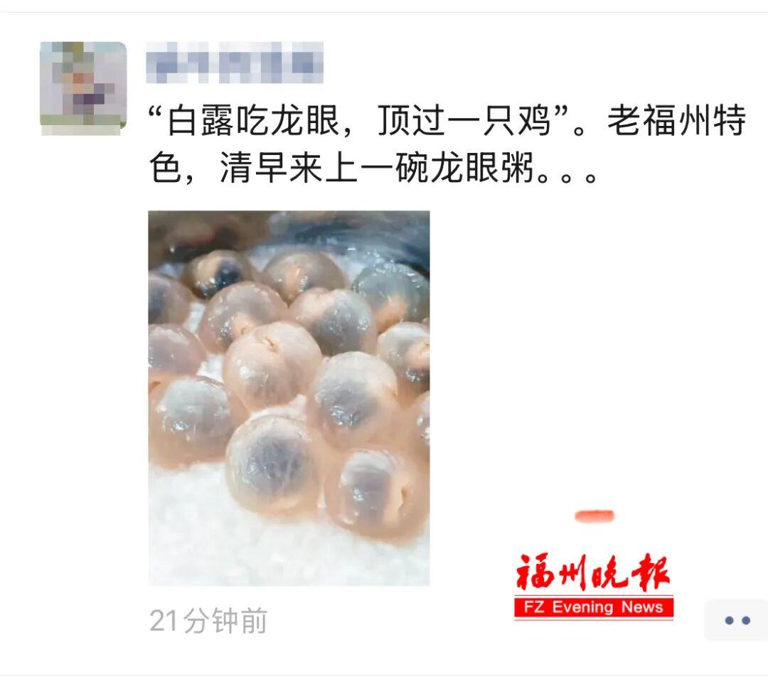央视关注！火出圈！福州这道美食，今天你吃了吗？
