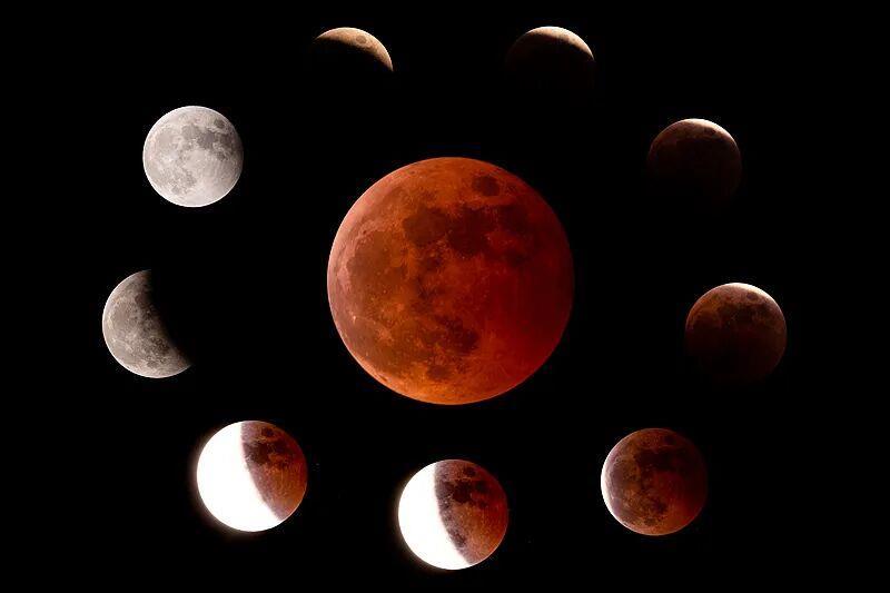 今晚记得抬头看“红月亮” 最佳观赏时间表来了